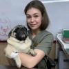 Брахіцефалічний синдром у собак і котів коли хрюкання є приводом звернутися до ветеринарного хірурга